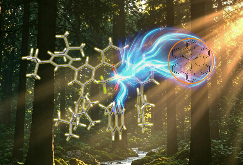 Science丨南科大化學(xué)系譚斌團(tuán)隊(duì)在不對(duì)稱光催化領(lǐng)域取得重要進(jìn)展
